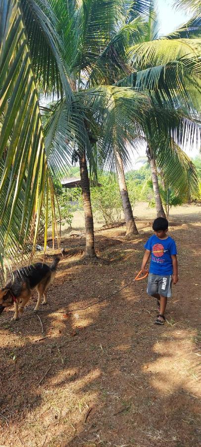 Sneha Farm House Kudal  المظهر الخارجي الصورة