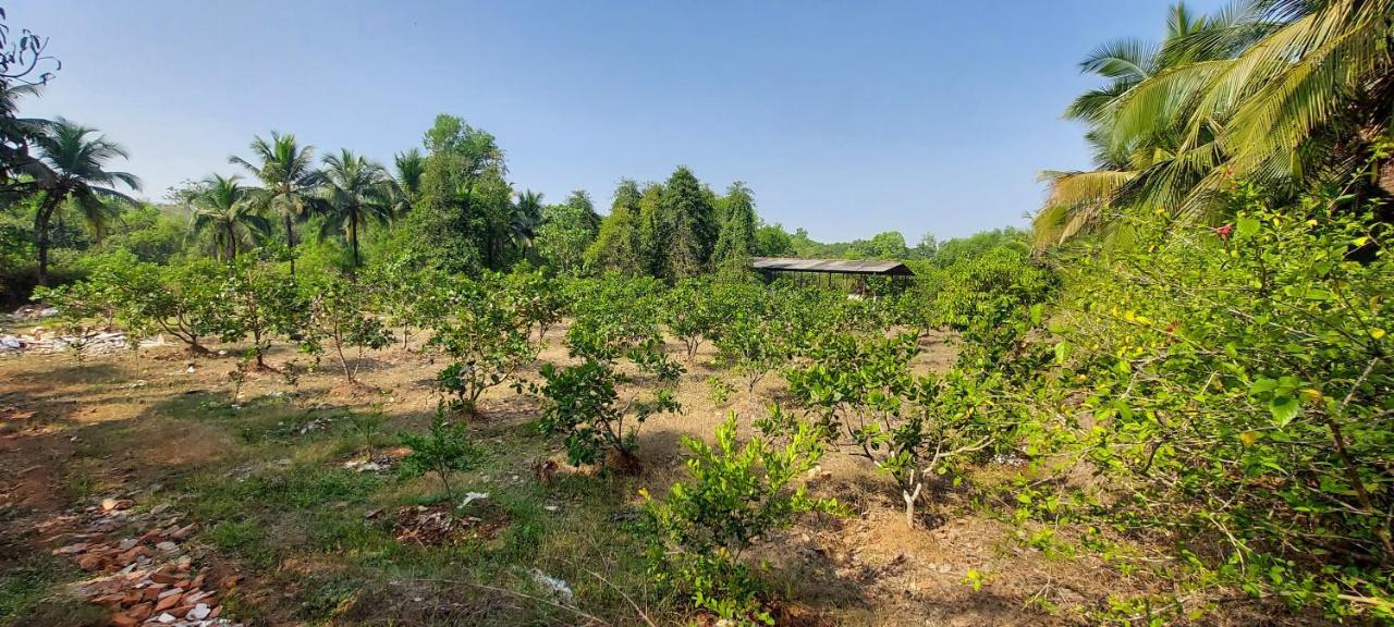 Sneha Farm House Kudal  المظهر الخارجي الصورة