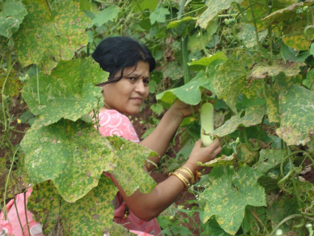 Sneha Farm House Kudal  المظهر الخارجي الصورة