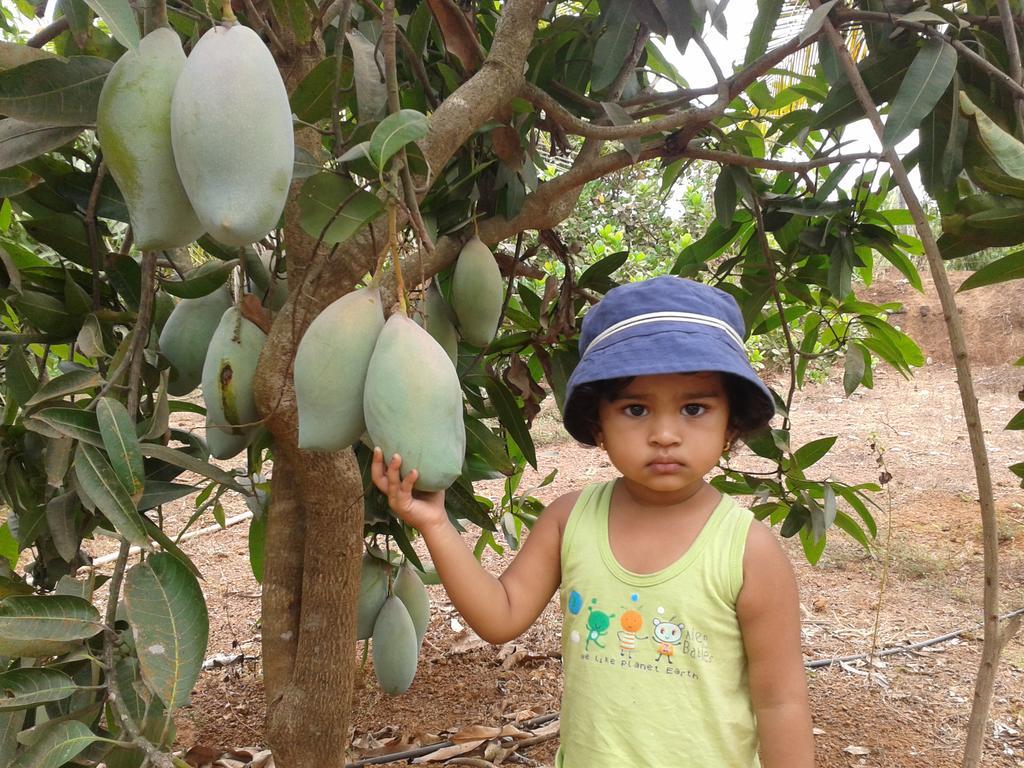 Sneha Farm House Kudal  المظهر الخارجي الصورة