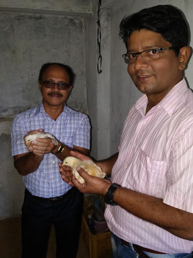 Sneha Farm House Kudal  المظهر الخارجي الصورة