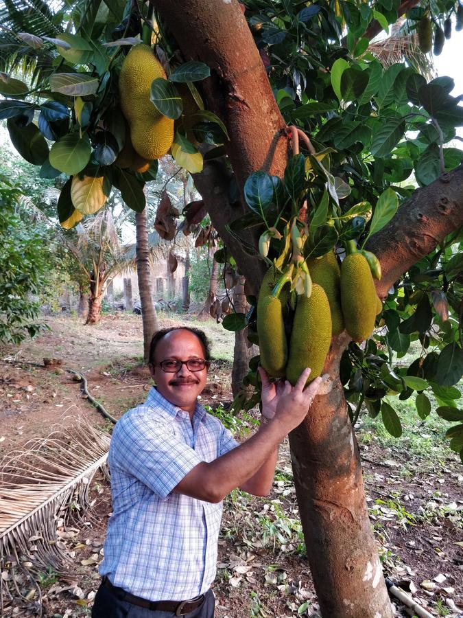 Sneha Farm House Kudal  المظهر الخارجي الصورة