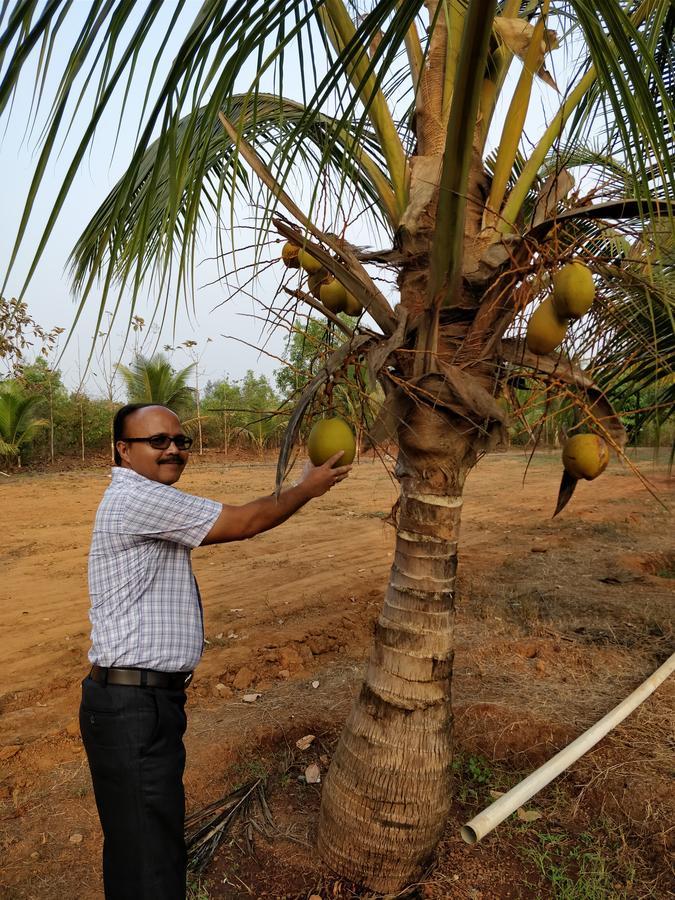 Sneha Farm House Kudal  المظهر الخارجي الصورة