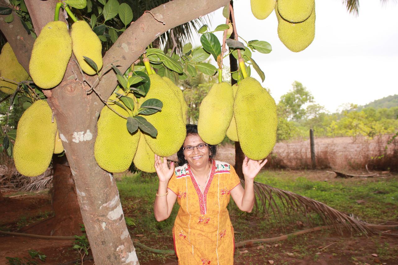 Sneha Farm House Kudal  المظهر الخارجي الصورة